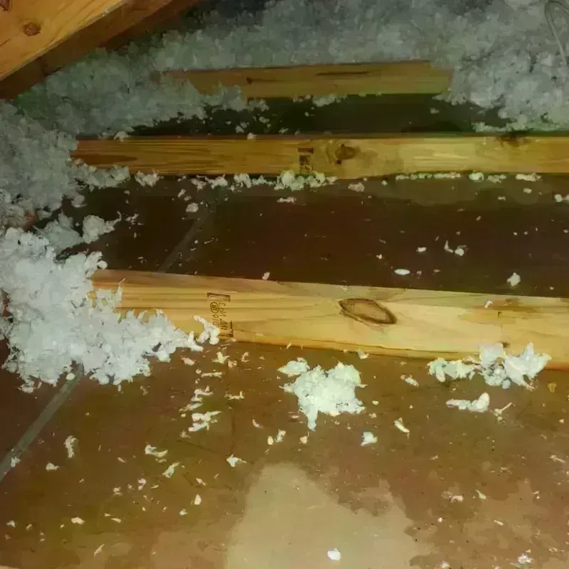 Attic Water Damage in North Center, IL