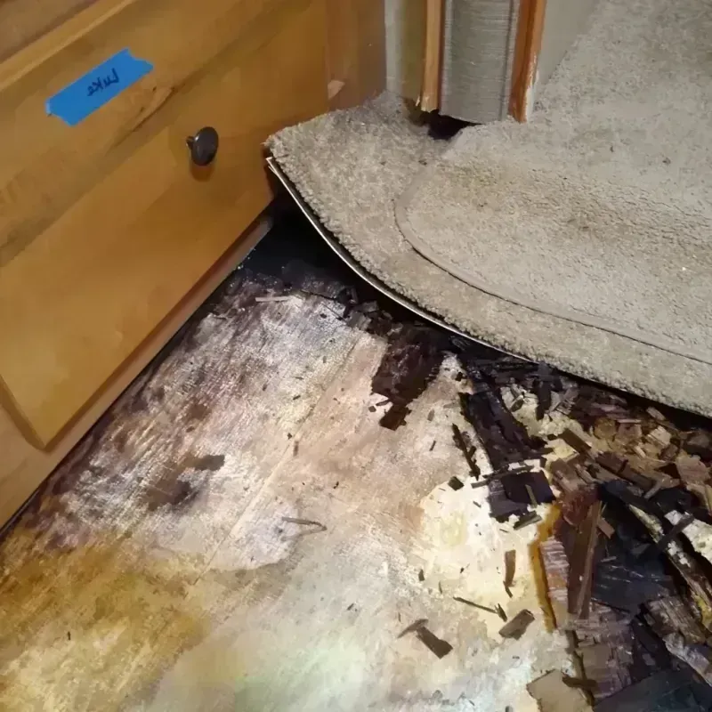 Wood Floor Water Damage in North Center, IL